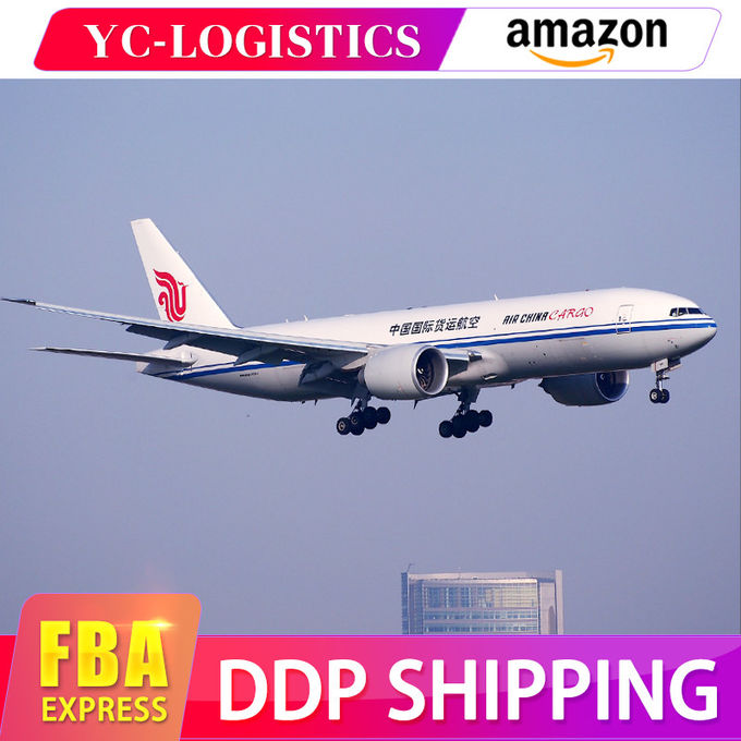 Huis-aan-huislucht en Overzeese Vrachtvervoerders van China aan FBA 1 van Amazonië