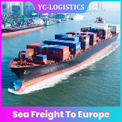 Internationale 6 tot 7 Dagenddp DDU Overzeese Vracht aan Europa vanuit China