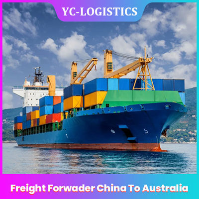 FBA van Amazonië Vrachtvervoerder China aan de Huis-aan-huisdienst van Australië