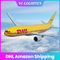 De Lucht die van de daglevering LCL DHL, de Huis-aan-huis Internationale Dienst van DDP DHL verschepen