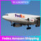 De Luchtvracht die van Fedex aa Amazonië de Diensten door:sturen aan de V.S. Europa