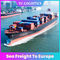 Internationale 6 tot 7 Dagenddp DDU Overzeese Vracht aan Europa vanuit China