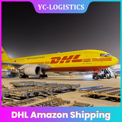 Het Verschepen van DDP DHL Amazonië