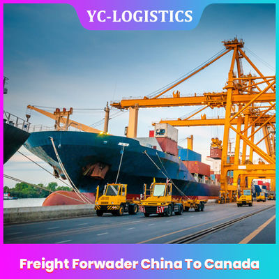 FOB- EXW China aan de Vrachtvervoerder die van Canada van Shenzhen aan Overzeese Wereldwijd, DDU-Vracht de Diensten door:sturen
