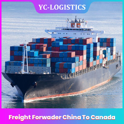 3 tot 17 Dagenddp DDU Cargadoor China To Canada, FBA van Shenzhen Amazonië Vrachtvervoerder