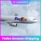 Profesional Fedex die Amazonië Ervaren Lucht verschepen aan Marokko Ddp Huis-aan-huis